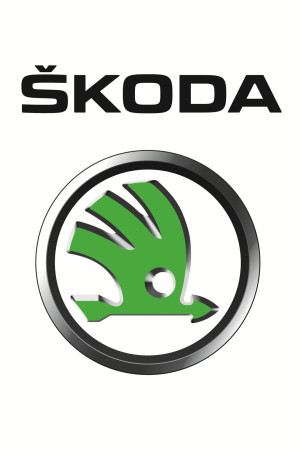 Škoda Logo and Car Symbol Meaning